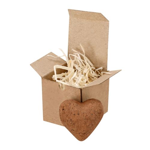 Heart-shaped seed bomb - Image 3